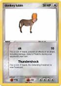 donkey lubin
