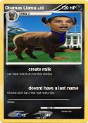 Obamas Llama