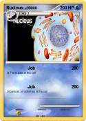 Nucleus