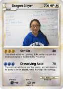 Dragon Slayer