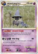 wizard pug lv.x