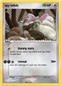 spy kitteh