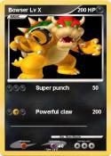Bowser Lv X