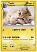 CatEX