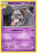 Weird Donkey