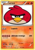 red bird
