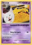 Taco Cat