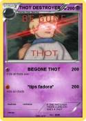 THOT DESTROYER