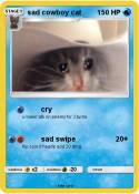 sad cowboy cat