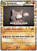 Boxing Cat