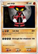 cat ninja