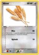 Wheat