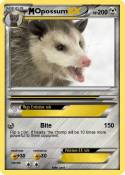 Opossum