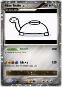 Mine Trutle