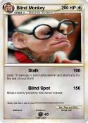 Blind Monkey