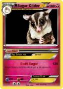 Sugar Glider