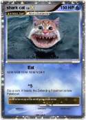 shark cat