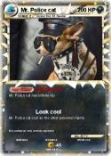 Mr. Police cat