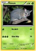 Possum