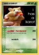 I HAS A KAROT