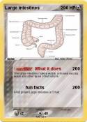 Large