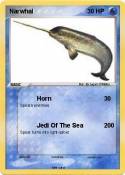 Narwhal