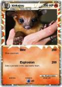 kinkajou