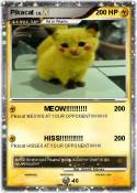 Pikacat