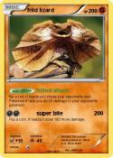 frild lizard