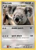 King koala