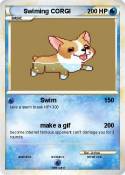 Swiming CORGI