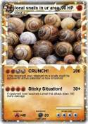 local snails in