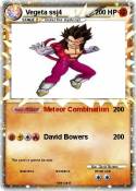 Vegeta ssj4 Vegeta ssj4