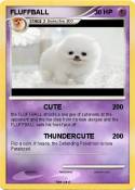 FLUFFBALL FLUFFBALL