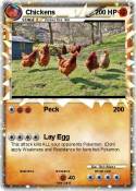 Chickens