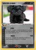 adorible puppy