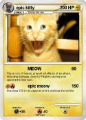 epic kitty