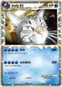 budy EX