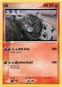 cat