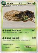 cicada EX