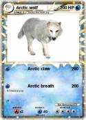Arctic wolf