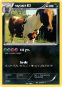 rayqaza EX