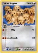 Golden Puppies