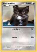shadow kitten