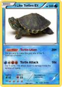 I Like Tortles