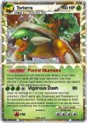 Torterra Torterra