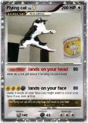 Flying cat Flying cat