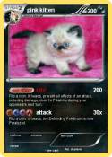 pink kitten
