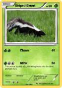 Striped Skunk