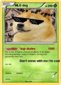 MLG dog